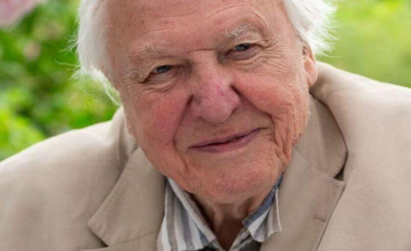 David Attenborough cumple 100 años: la voz que cambió para siempre la forma de mirar la naturaleza