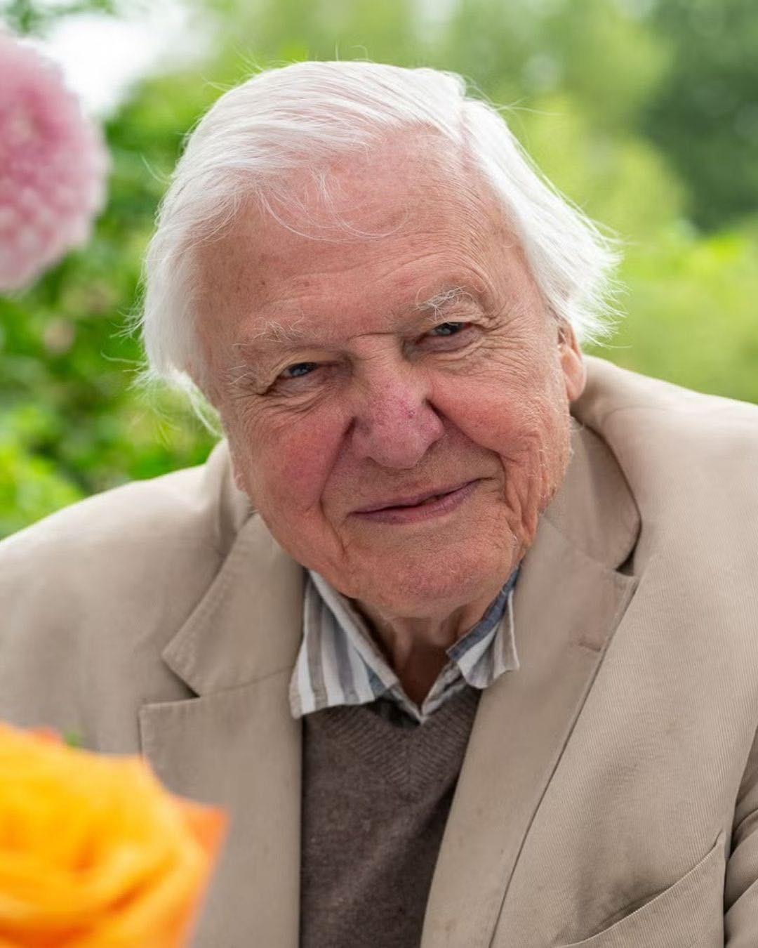 David Attenborough cumple 100 años: la voz que cambió para siempre la forma de mirar la naturaleza